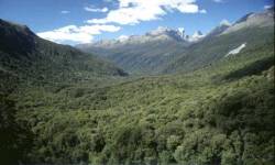 Auf dem Weg zum Milford Sound